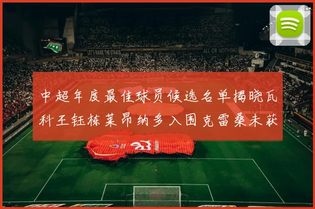 中超年度最佳球员候选名单揭晓瓦科王钰栋莱昂纳多入围克雷桑未获提名