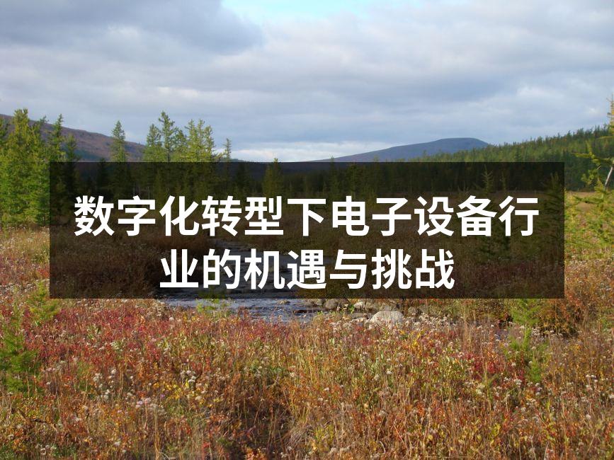数字化转型下电子设备行业的机遇与挑战