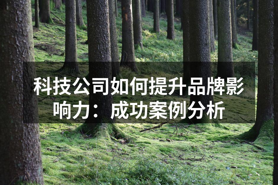 科技公司品牌影响力提升案例